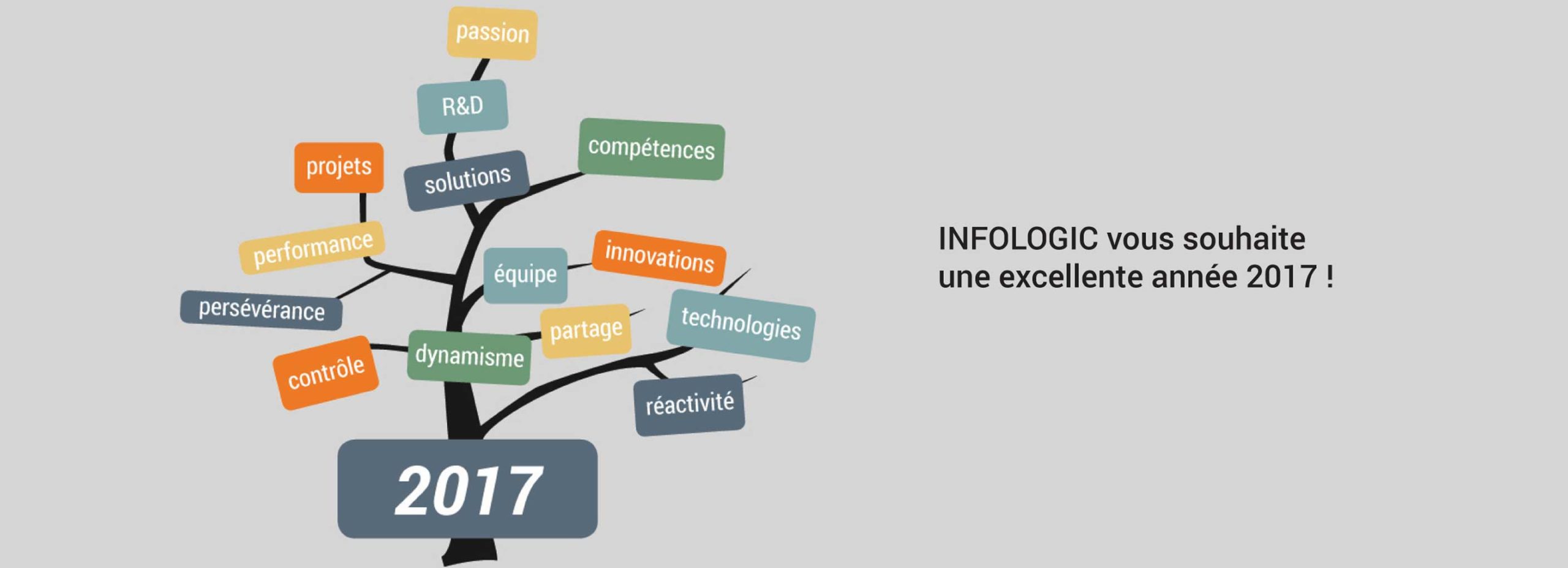 Infologic vous souhaite une belle année 2017