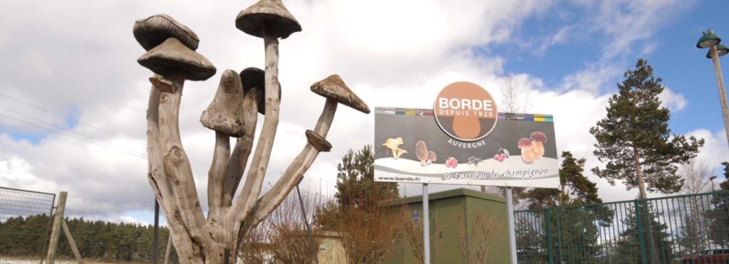 société Borde champignons