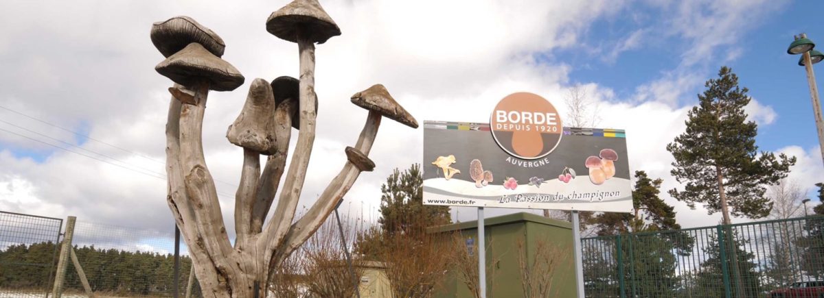Société Borde champignons travaille avec l'ERP agro Copilote