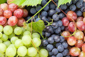 Infologic propose un logiciel viticulture, un logiciel de gestion viticole