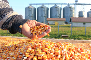 Logiciel ERP Copilote grains et meunerie