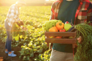 Solution ERP Infologic Fruits et légumes