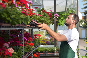 Logiciel horticole pour les horticulteurs et pépiniéristes