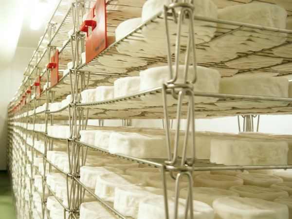 Affinage Camembert